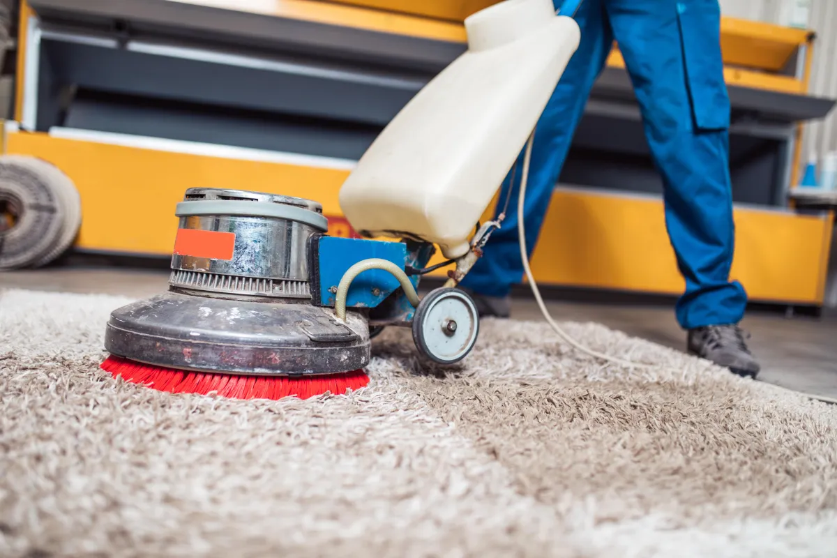 kansas city carpet cleaner