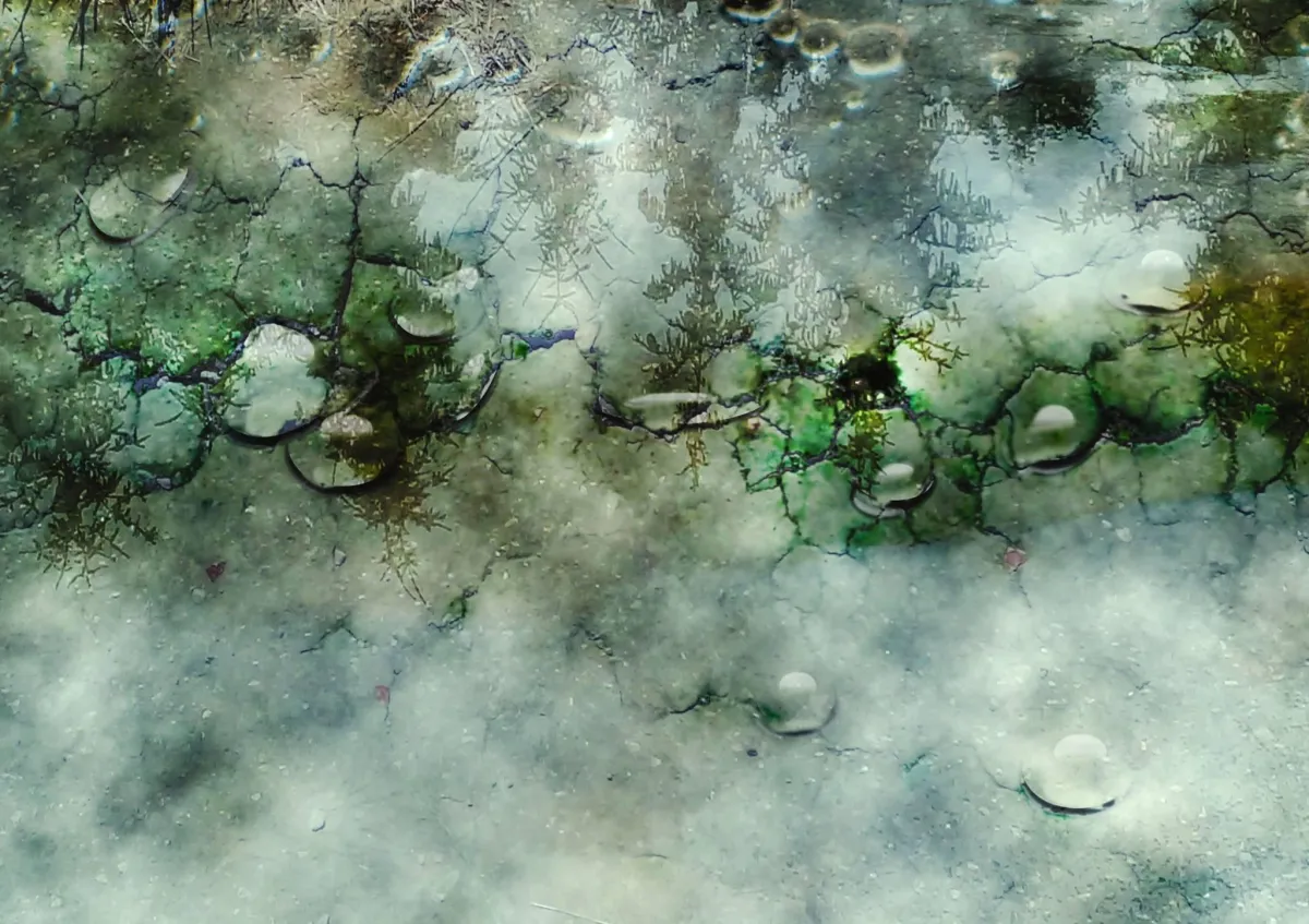 Kolaż cyfrowy, rzeka