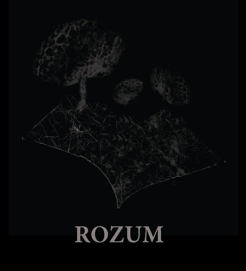 Kolaż cyfrowy-Rozum