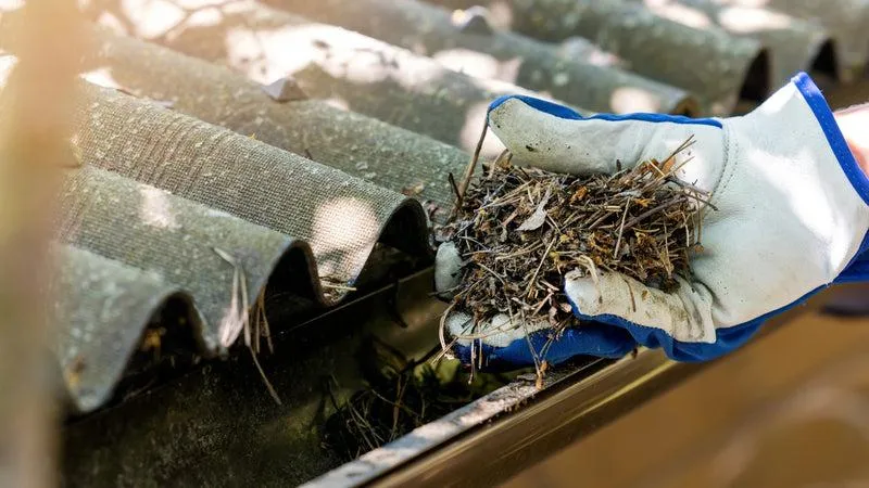 gutter cleaning services melbourne