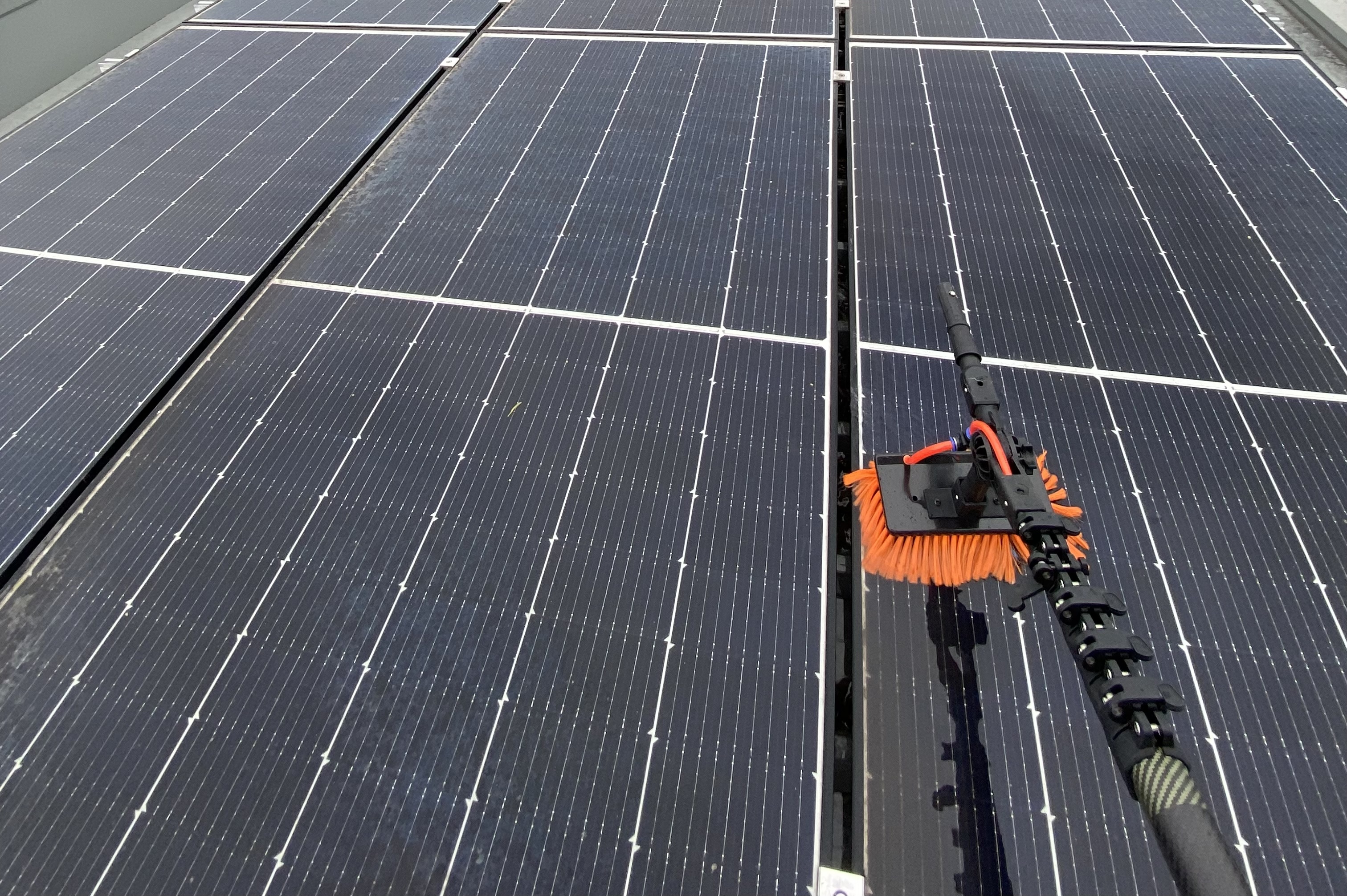 yard cleaning services ellenbrook