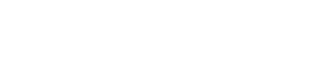 N-LITE-logo