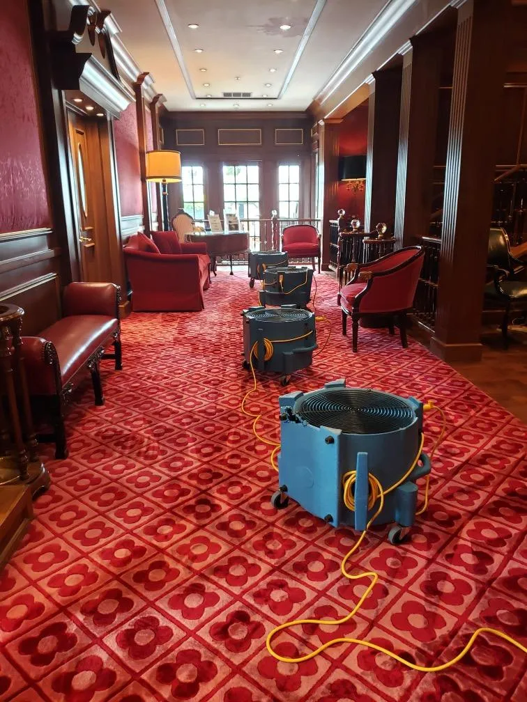 Carmel Carpet Cleaning