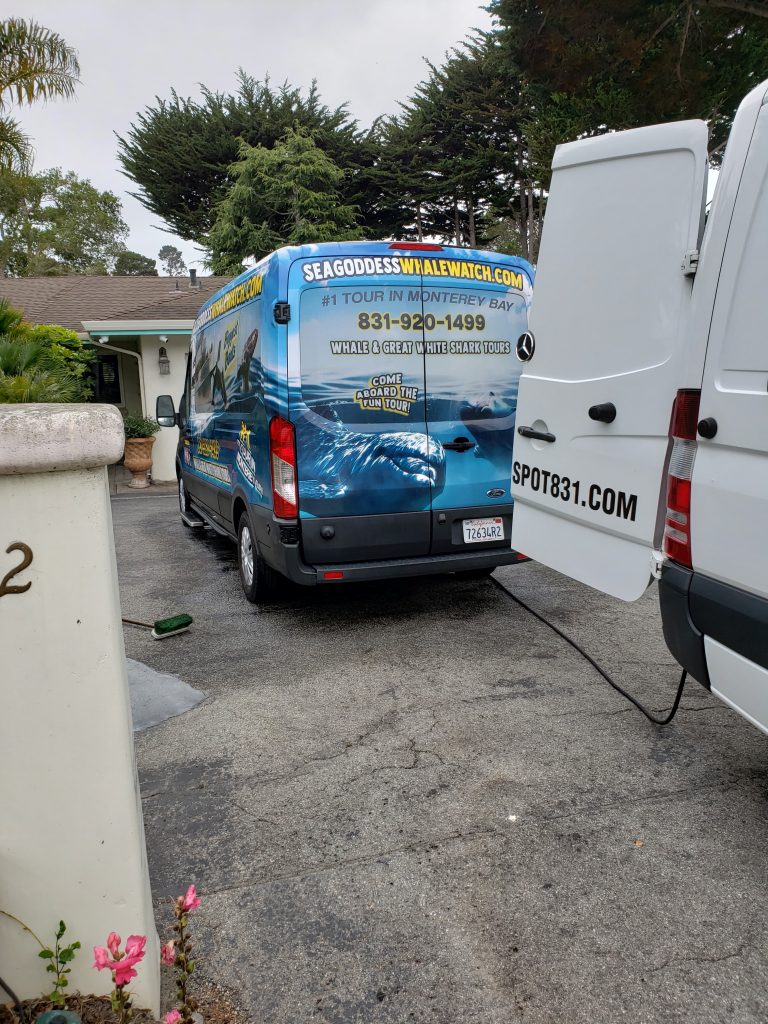 Carmel Upholstery Cleaning