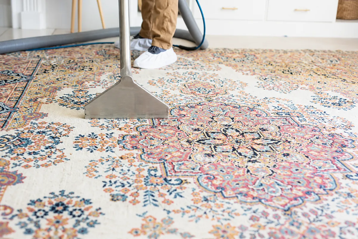 Area Rug Cleaning in Carmel