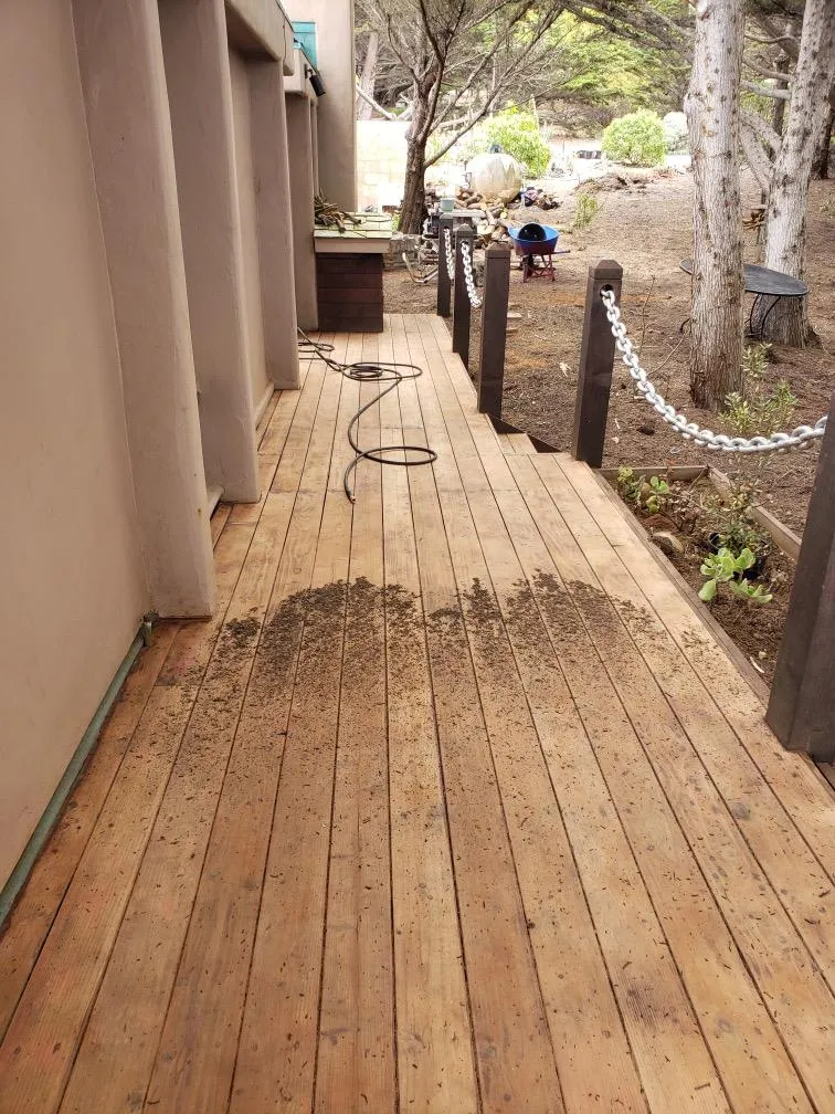  Carpet Cleaning