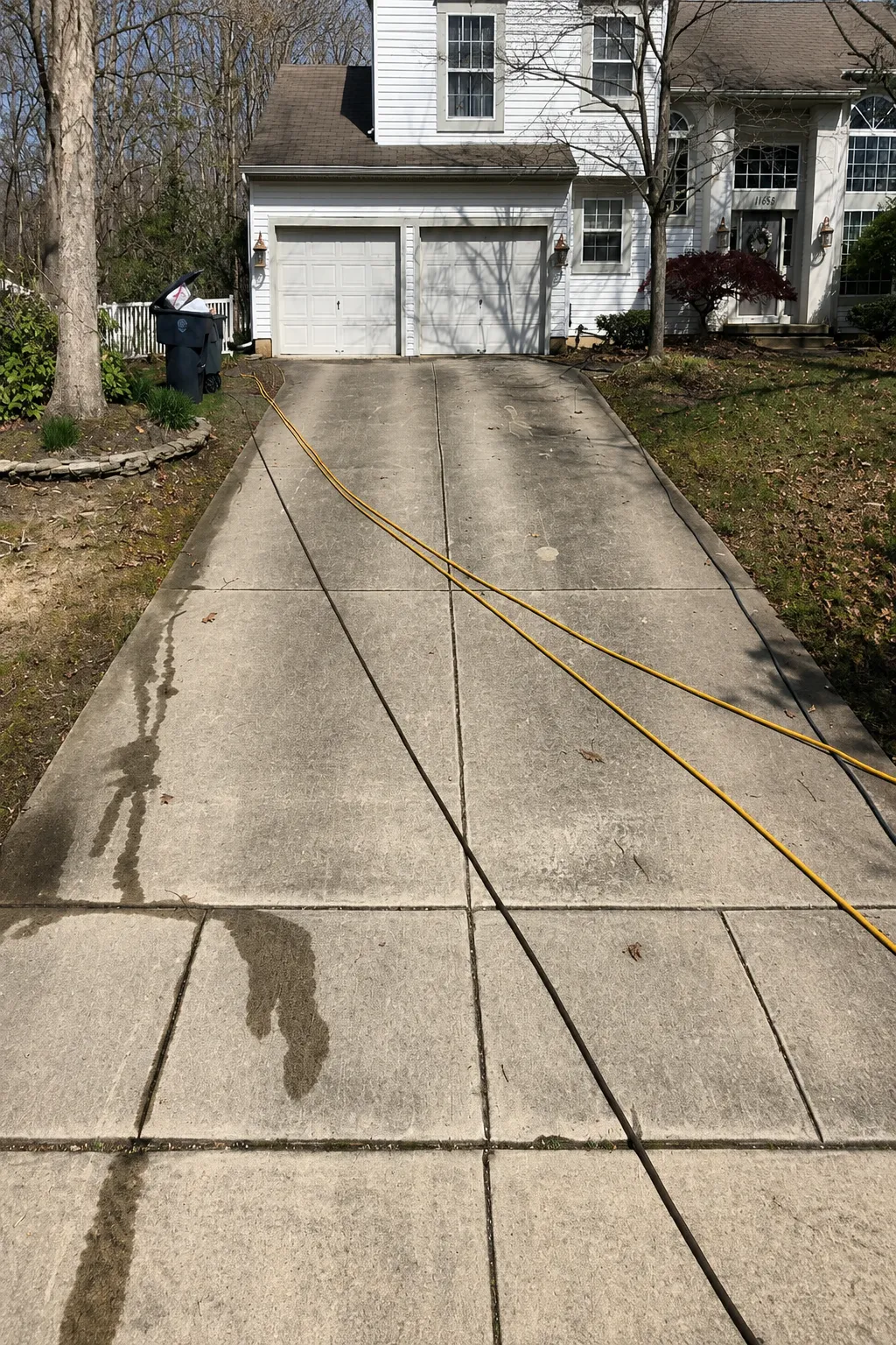  Carpet Cleaning