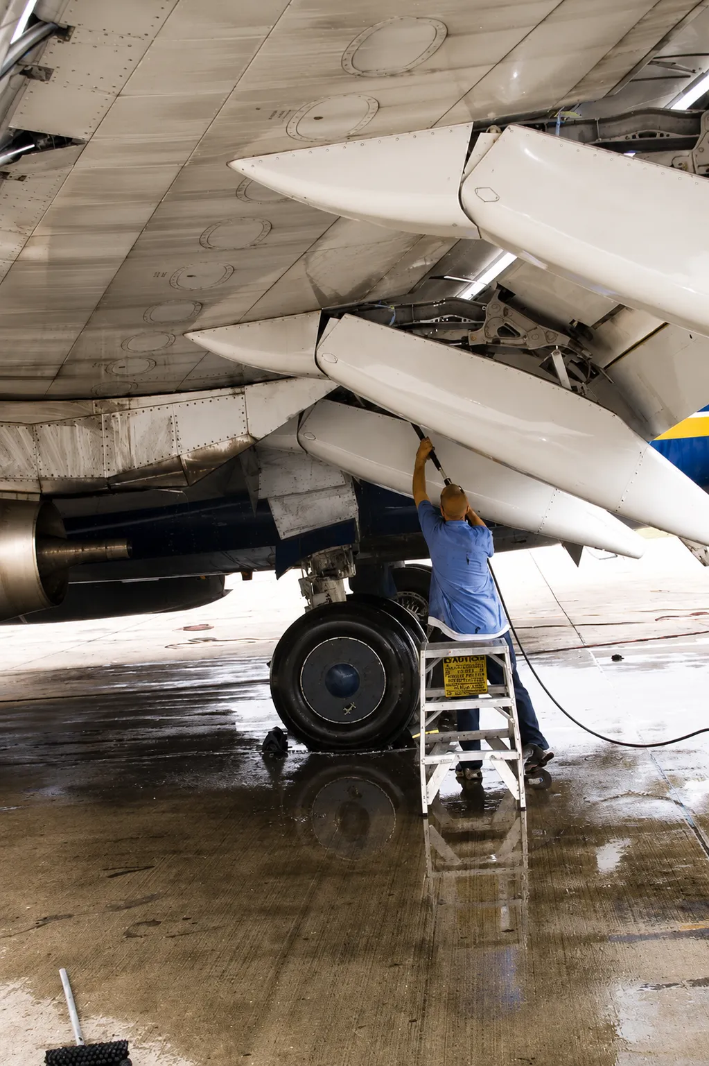 Carpet Cleaning