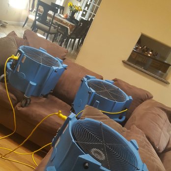 Carpet Cleaning