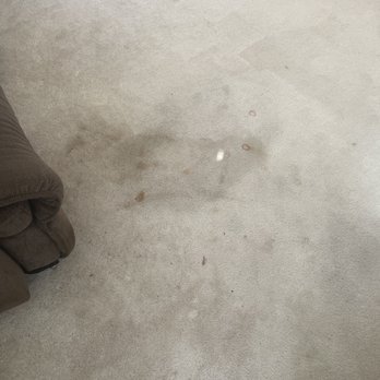 Carpet Cleaning