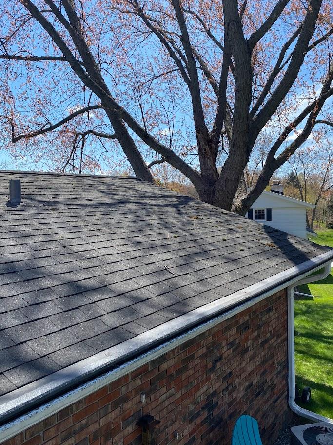 Roof Washing