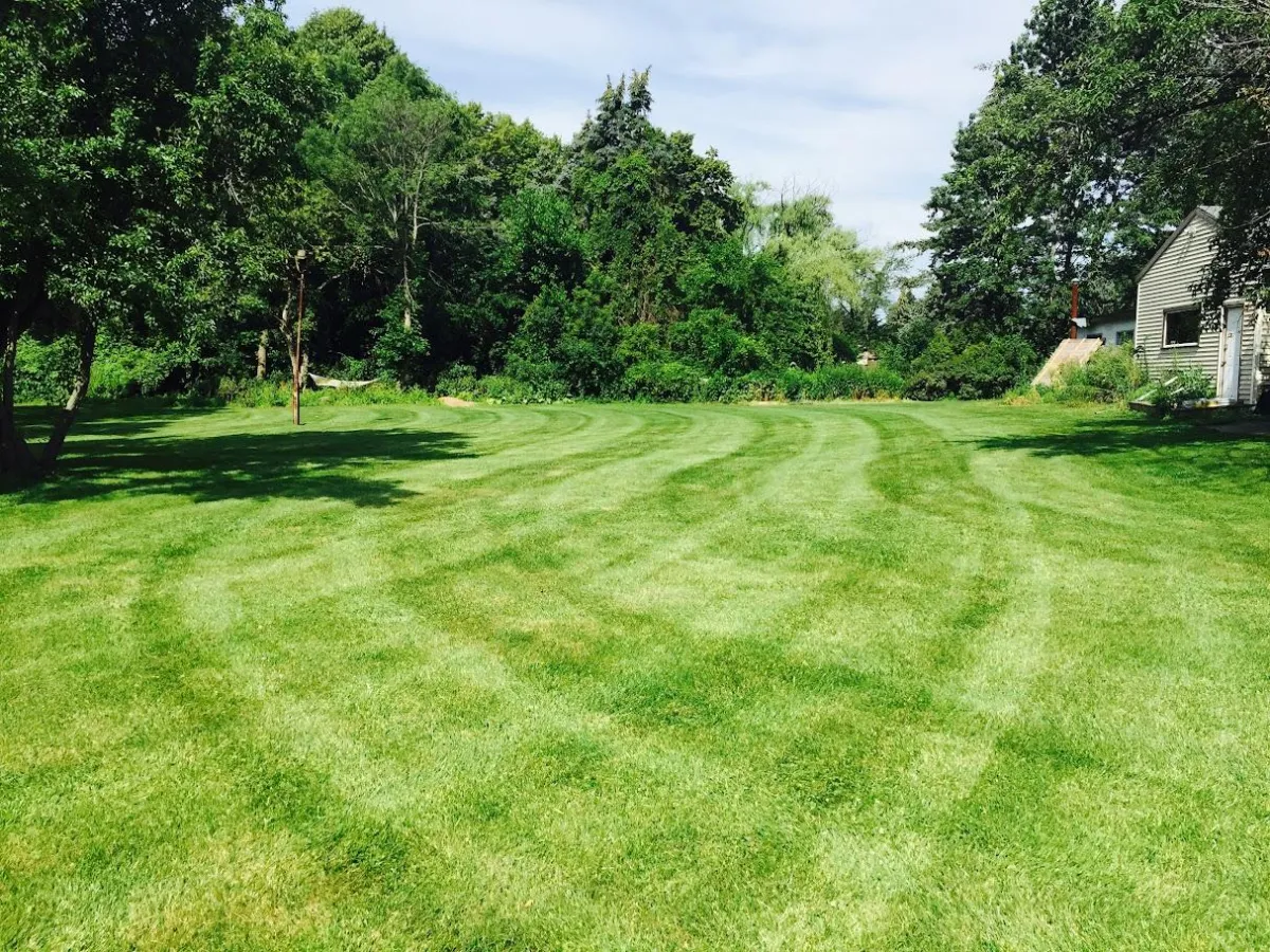 Turf Maintenance