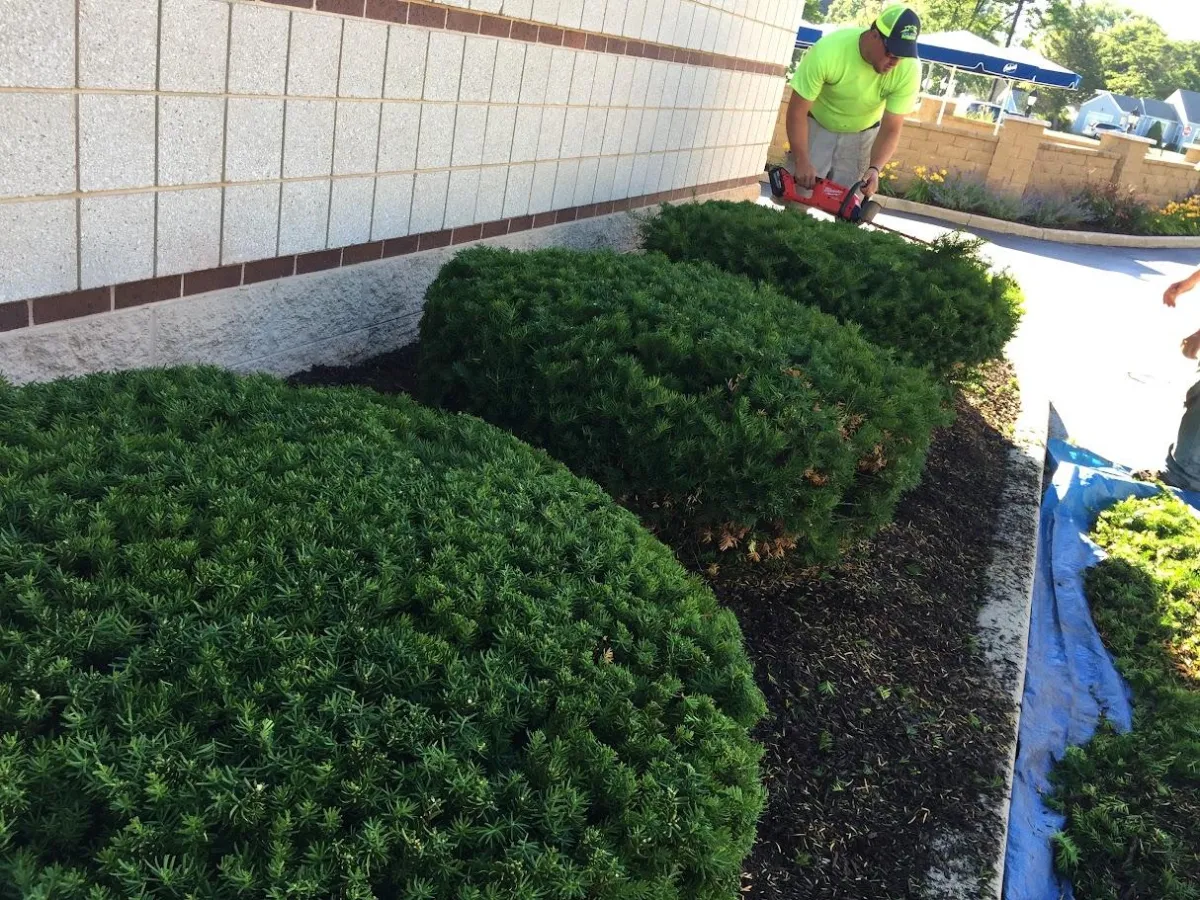 Pruning Service
