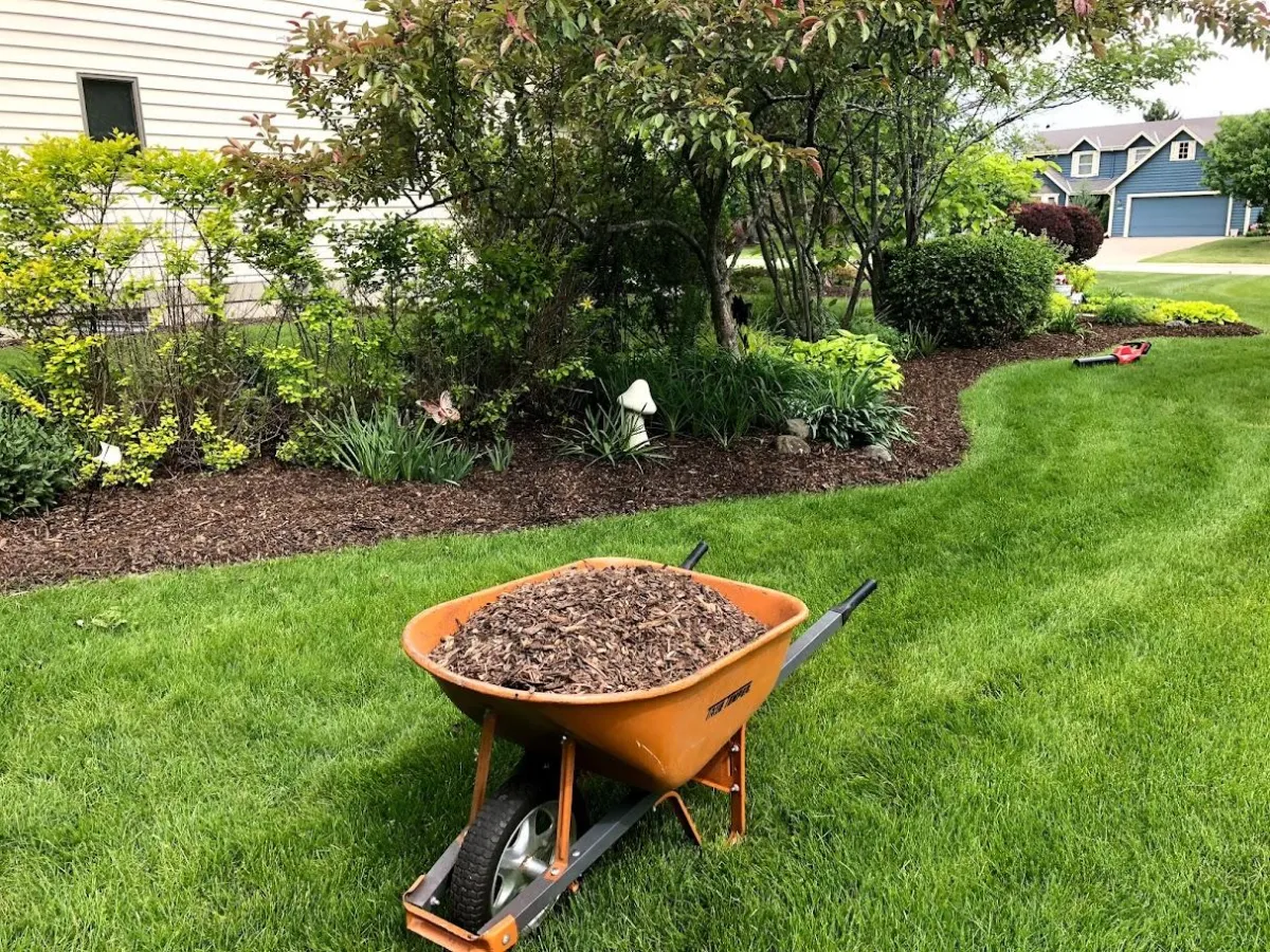 Bed Maintenance