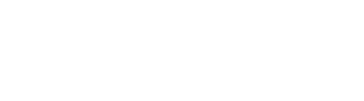 Vision Tree Leadership