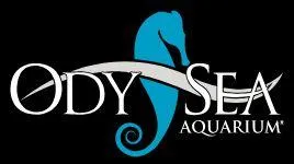 Ody Sea Aquarium