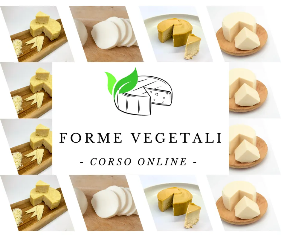 corso formaggi vegetali vegani