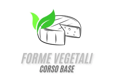 corso formaggi vegetali vegani