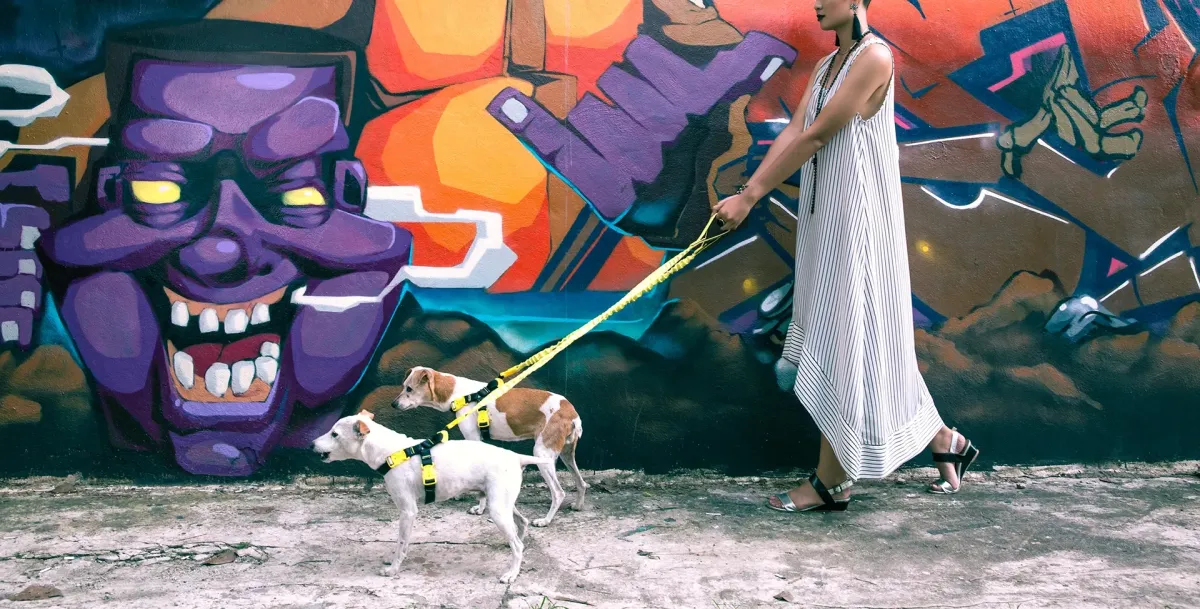 Woman walking two small dogs