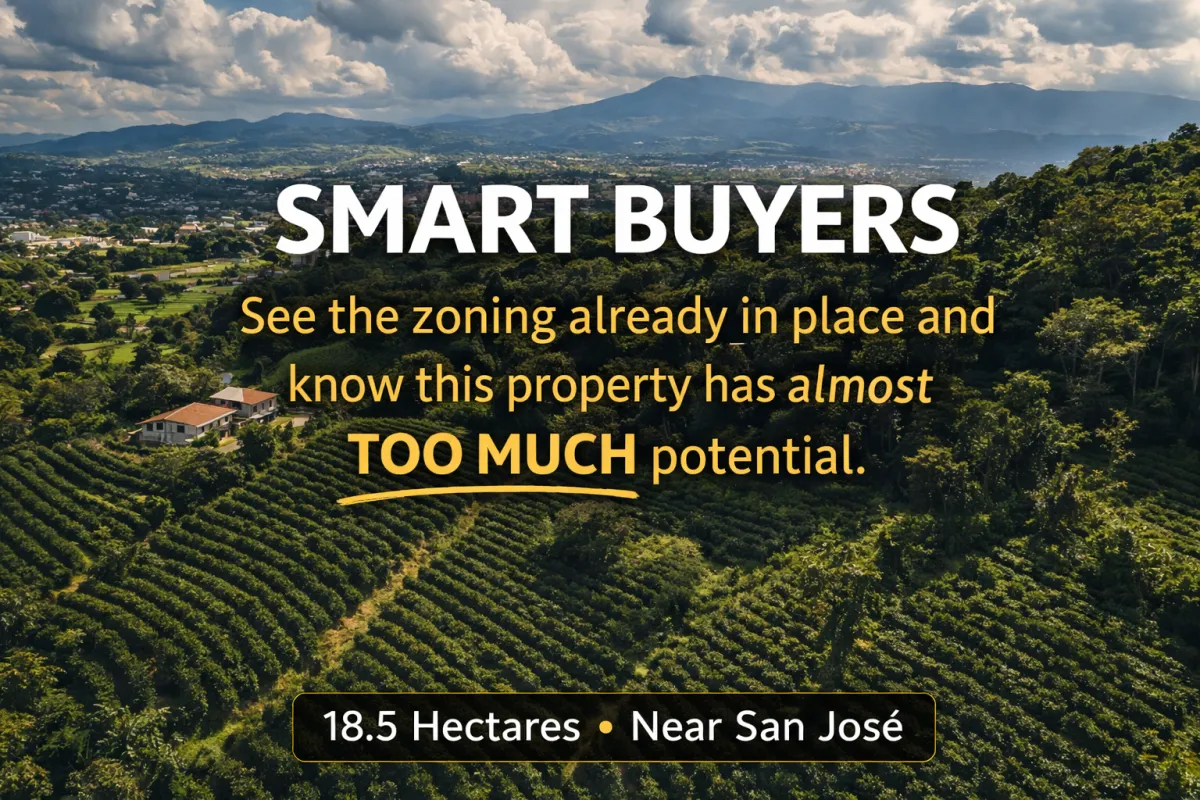 18.5 Hectare Coffee Farm — Favorable Zoning, Real Potential. Risks negative exploitation.