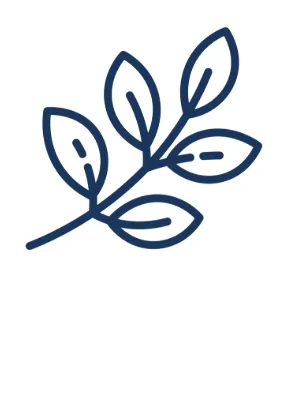 Downspout Unclogging & Clearing in 