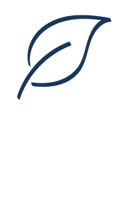 Gutter System Inspection in 