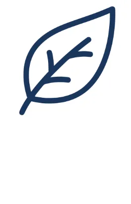 Manual Cleaning Services in 