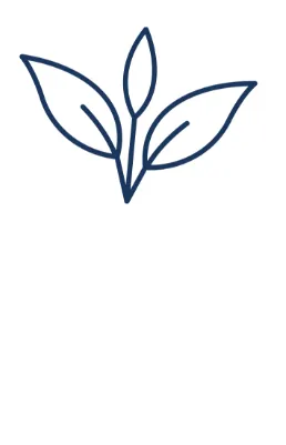 Roof Debris Removal in 