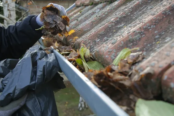 Emergency Gutter Cleaning 