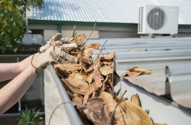 Manual Cleaning Services 