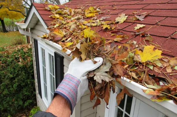 Basic Gutter Debris Removal 