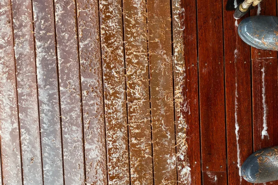 tilt shift lens photo of leaf