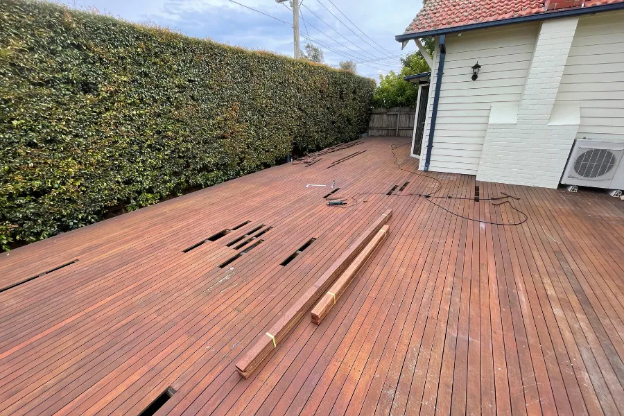 gray concrete pathway between green trees during daytime