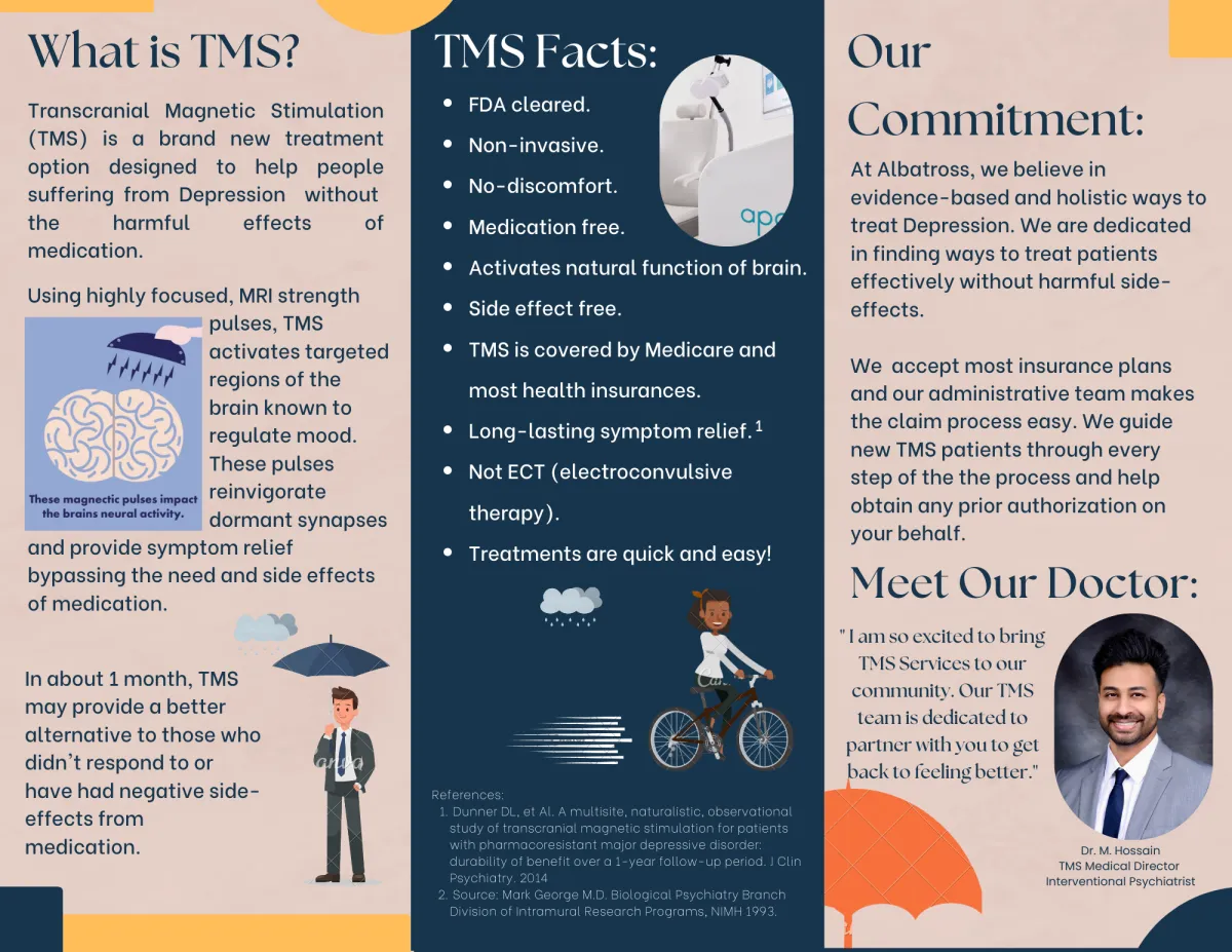 landscape photo of forest during golden hour