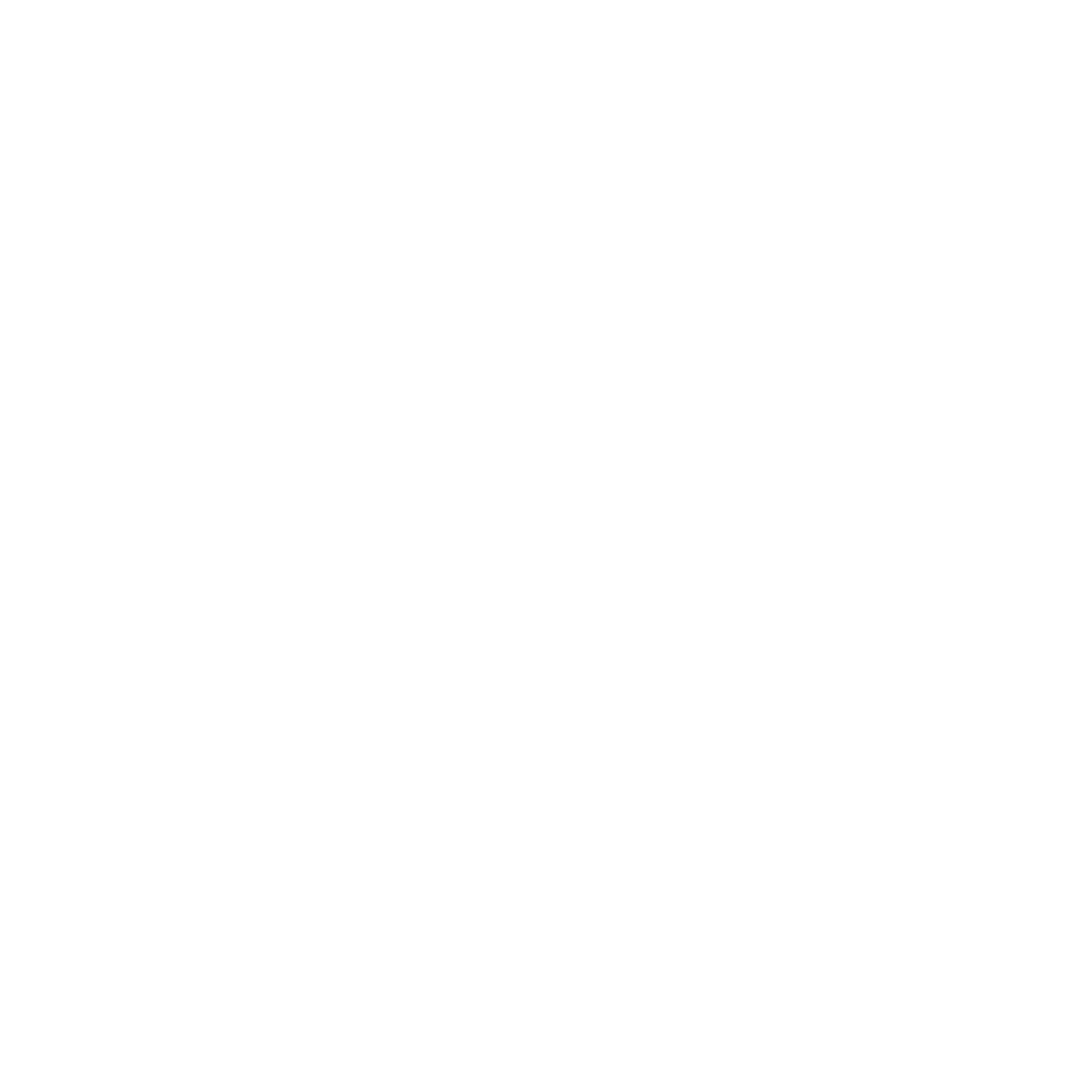 Everest College Logo