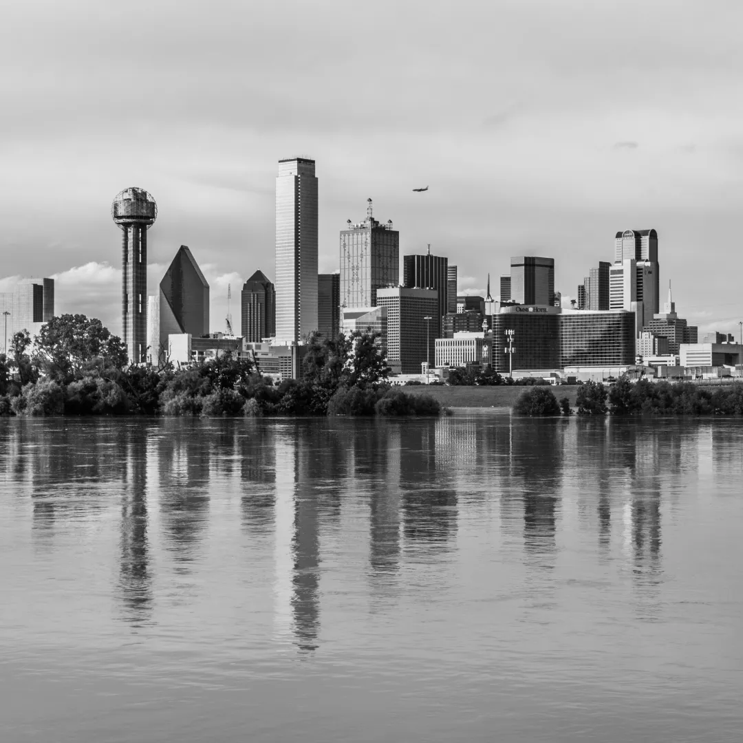 Las Vegas Skyline