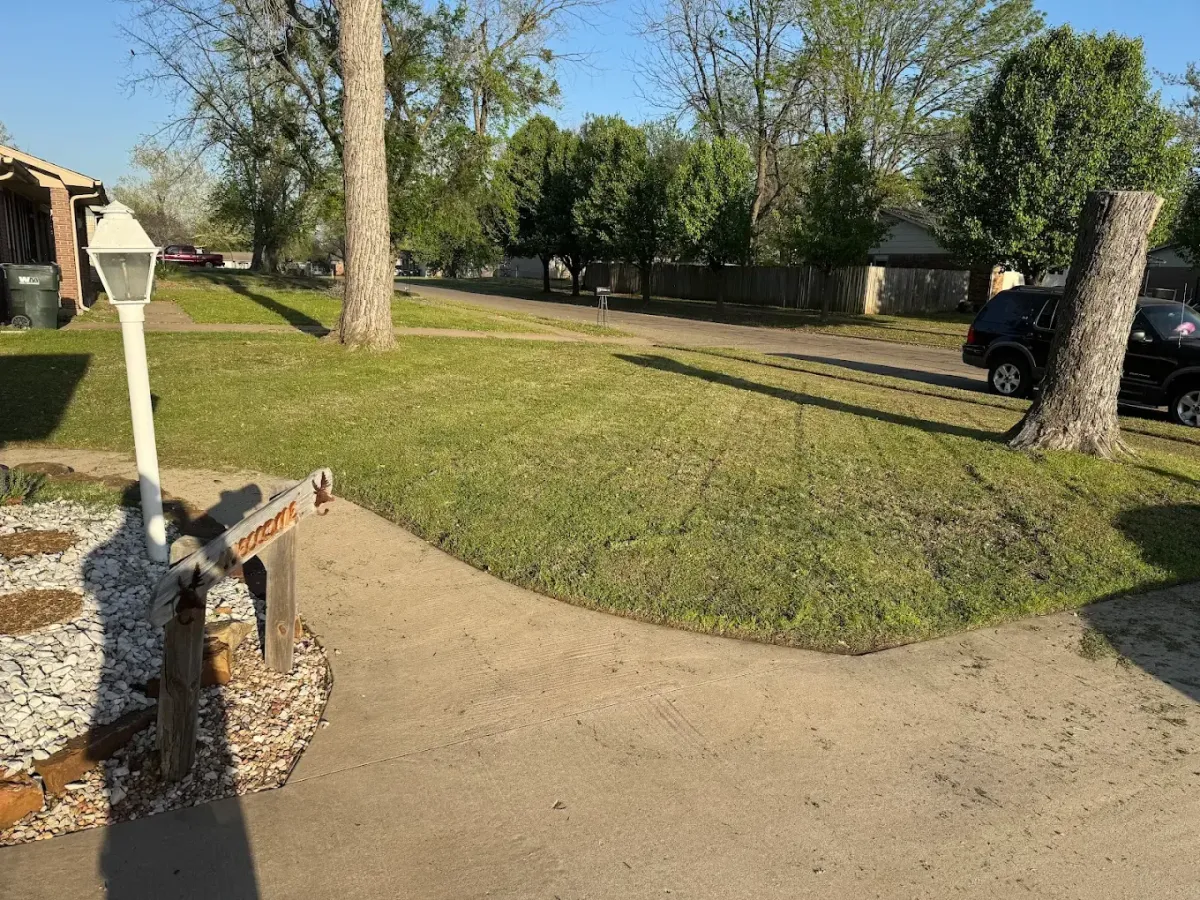 Leaf Removal in Tulsa, OK