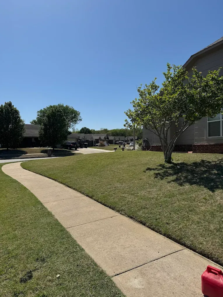 Tree Trimming in Tulsa, OK