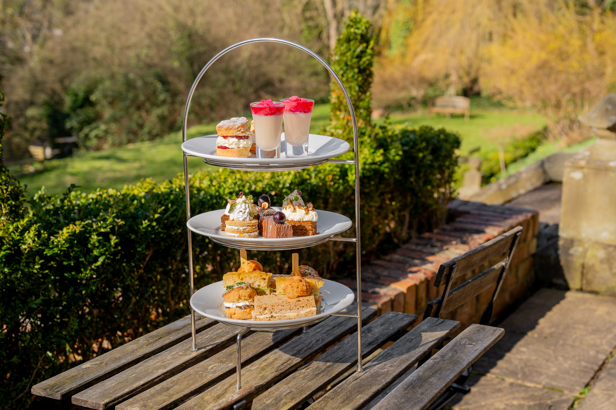 green palm tree on brown rock in the middle of the sea