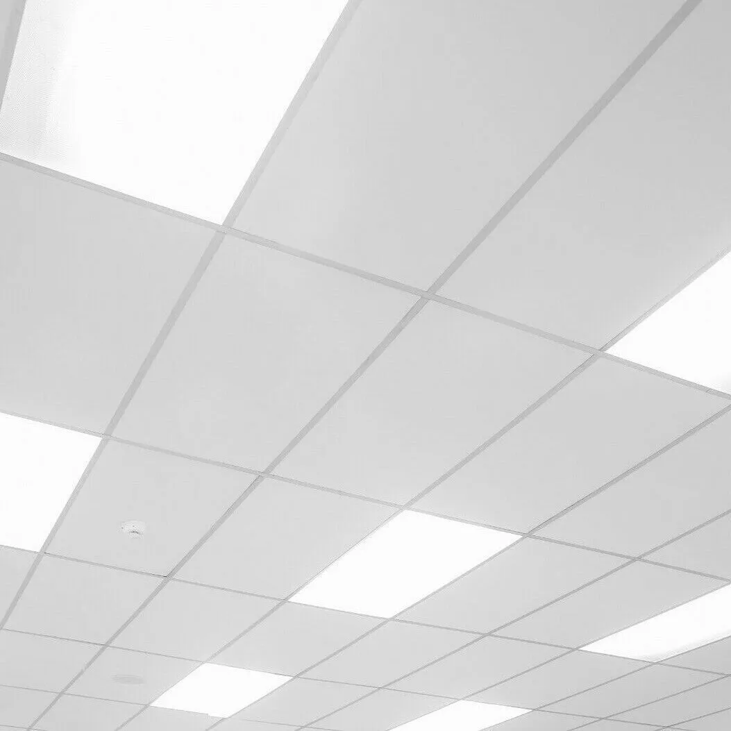 White office ceiling tiles and light panels, representing facilities maintenance in Levelland, TX