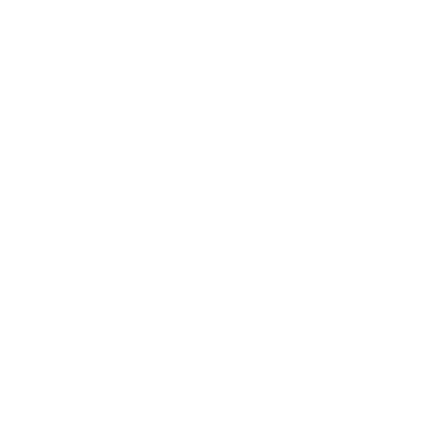 Lubbock Repair Partners logo