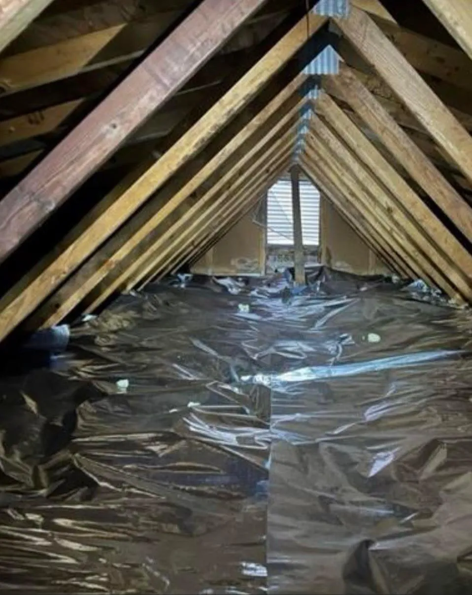 {{ custom_values.service_1 }} in {{custom_values.biz_area_1})