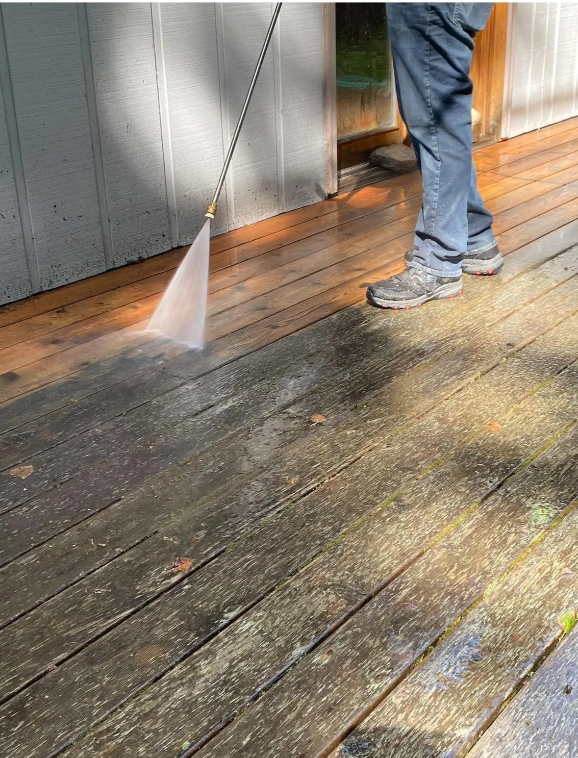 Moss Removal Kailua-Kona