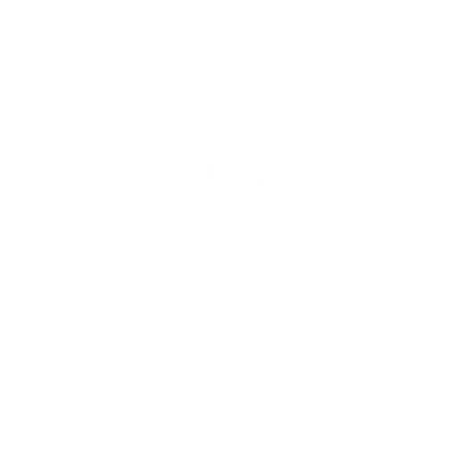 Personal Training Academy Logo