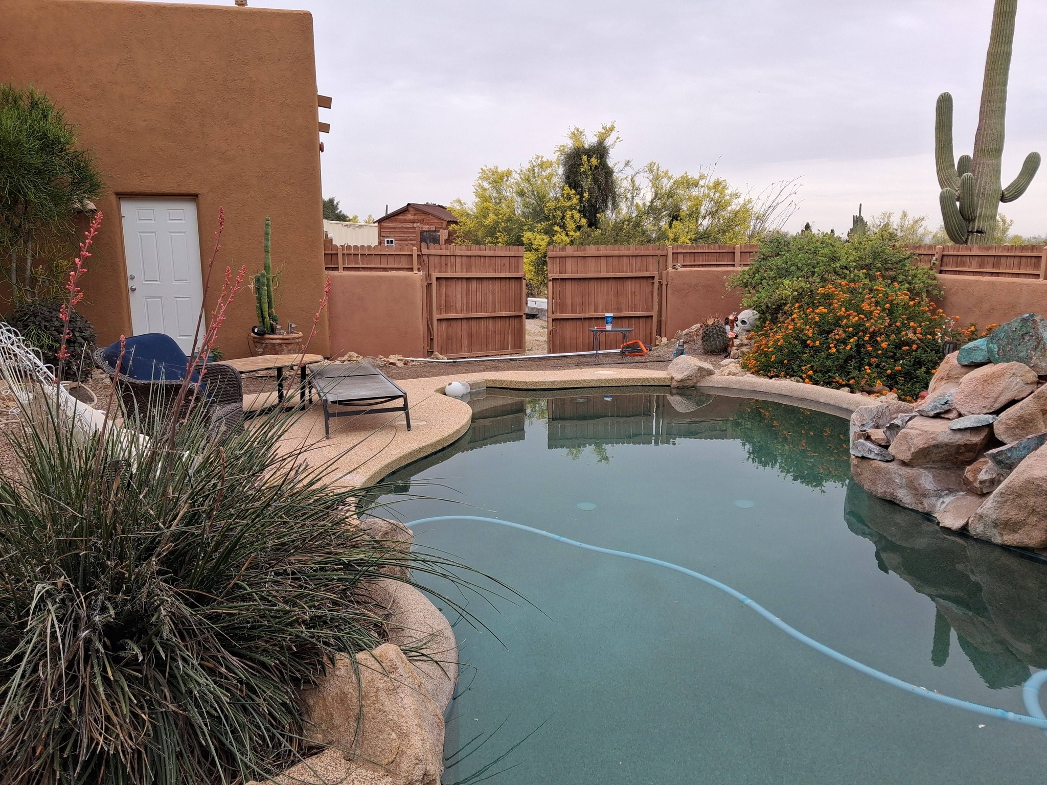 Hedge & Bush Trimming Tucson