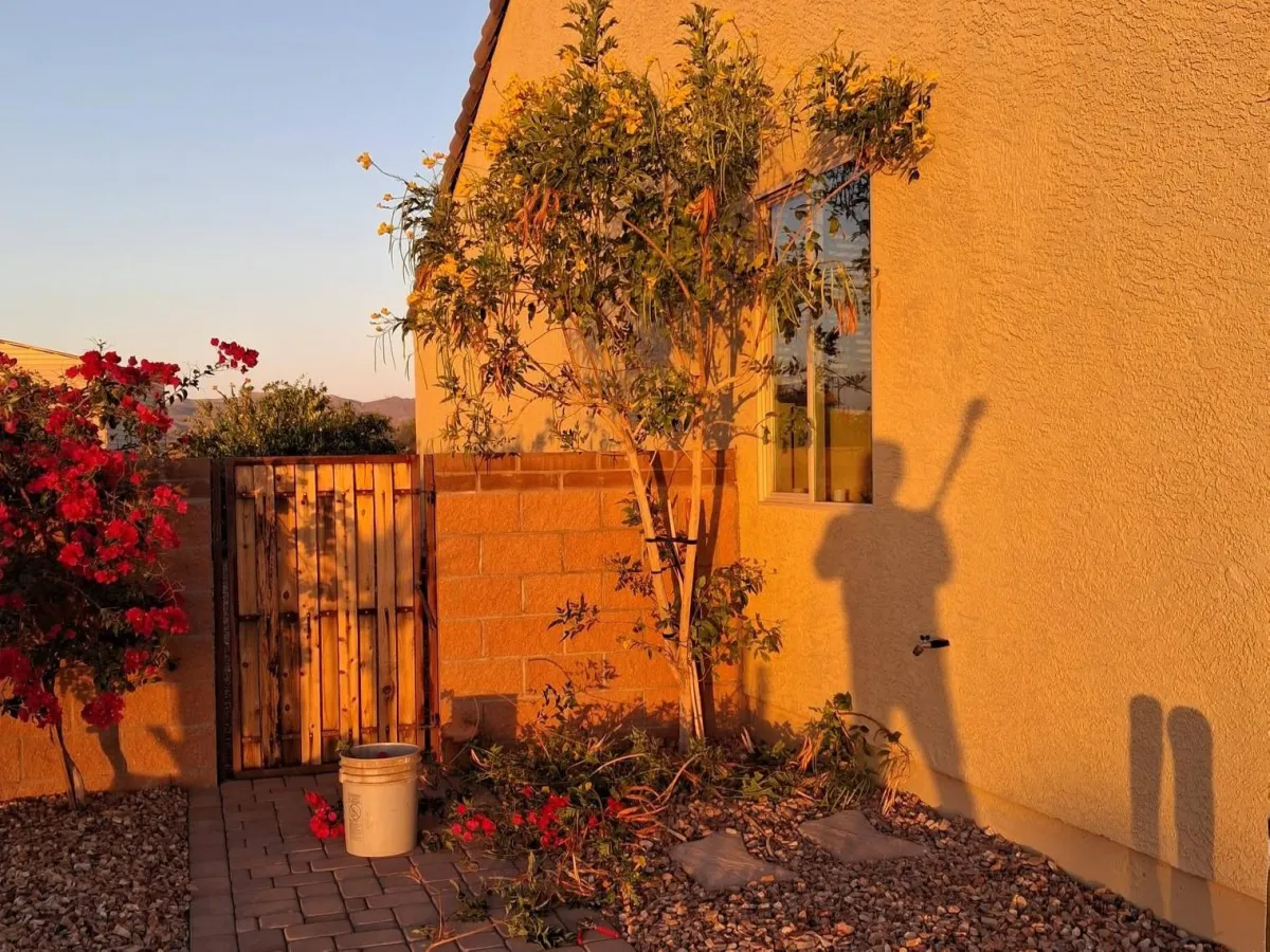 Sod & Lawn Restoration Tucson