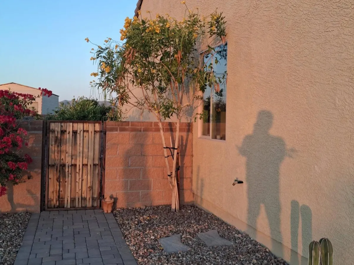 Landscape Design Tucson
