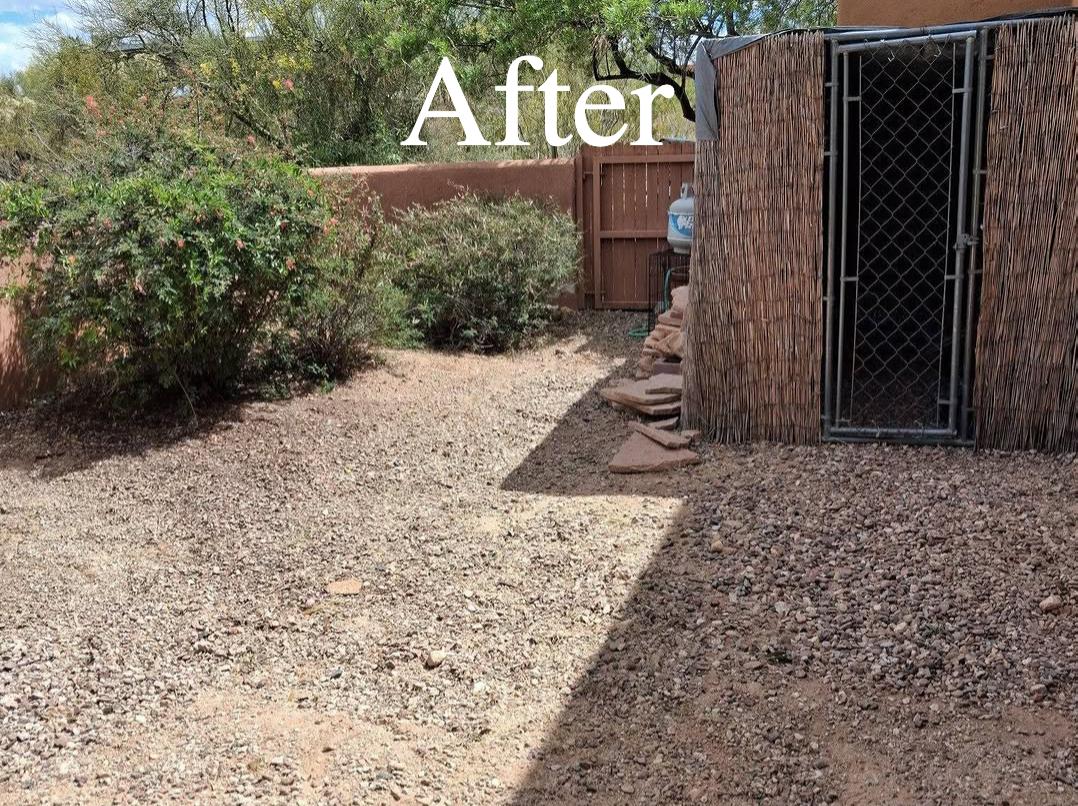 Storm Debris Cleanup Tucson