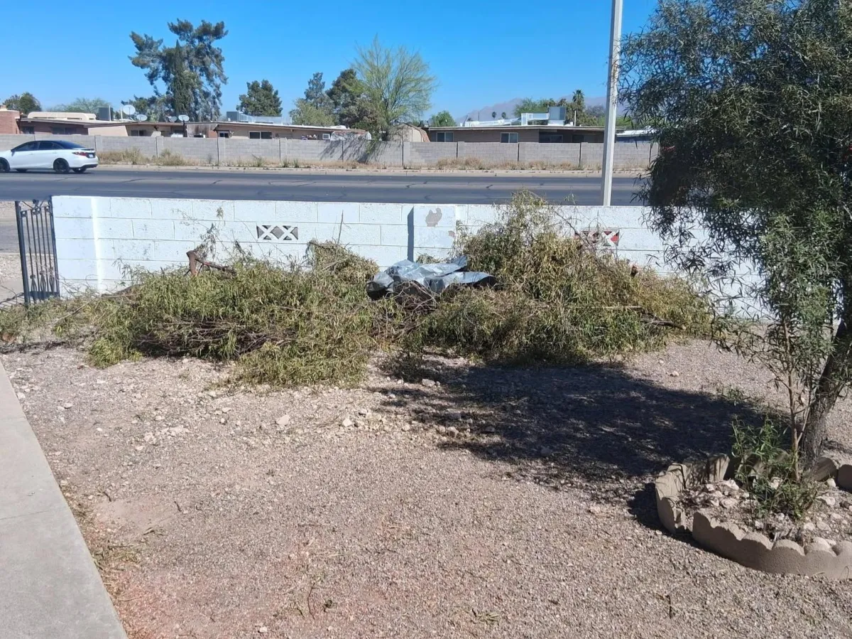 Drainage Solutions Tucson