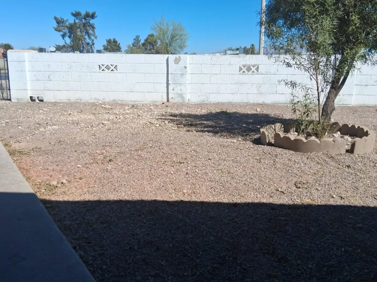 Commercial Lawn Care Tucson